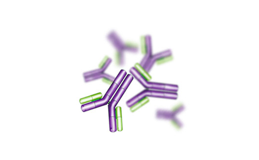 兔抗狗IgG(Rabbit Anti-dog IgG antibody)