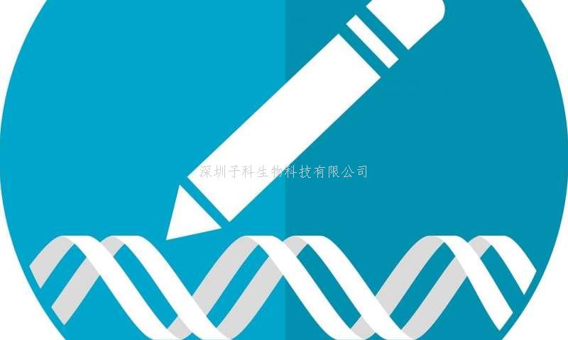 廣州醫(yī)科大學最新文章：利用堿基編輯技術在胚胎層面修復致病突變