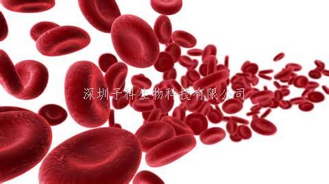 ELISA的樣本收集與前期準備