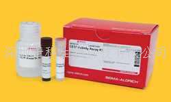 26S Proteasome Degradation Kit，貨號:539159-1KIT