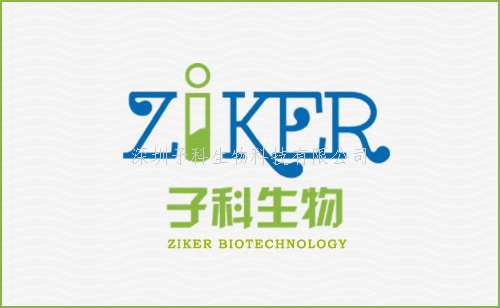 蛋白酶K溶液(Proteinase K,20mg/ml)