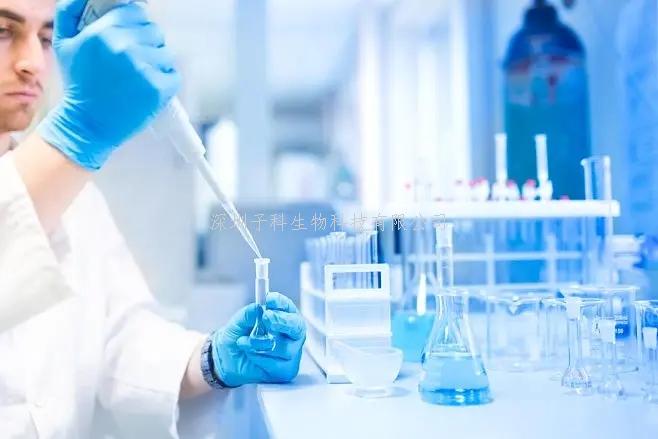 研究人員揭示了大多數(shù)常見哺乳動物mRNA修飾背后的機制