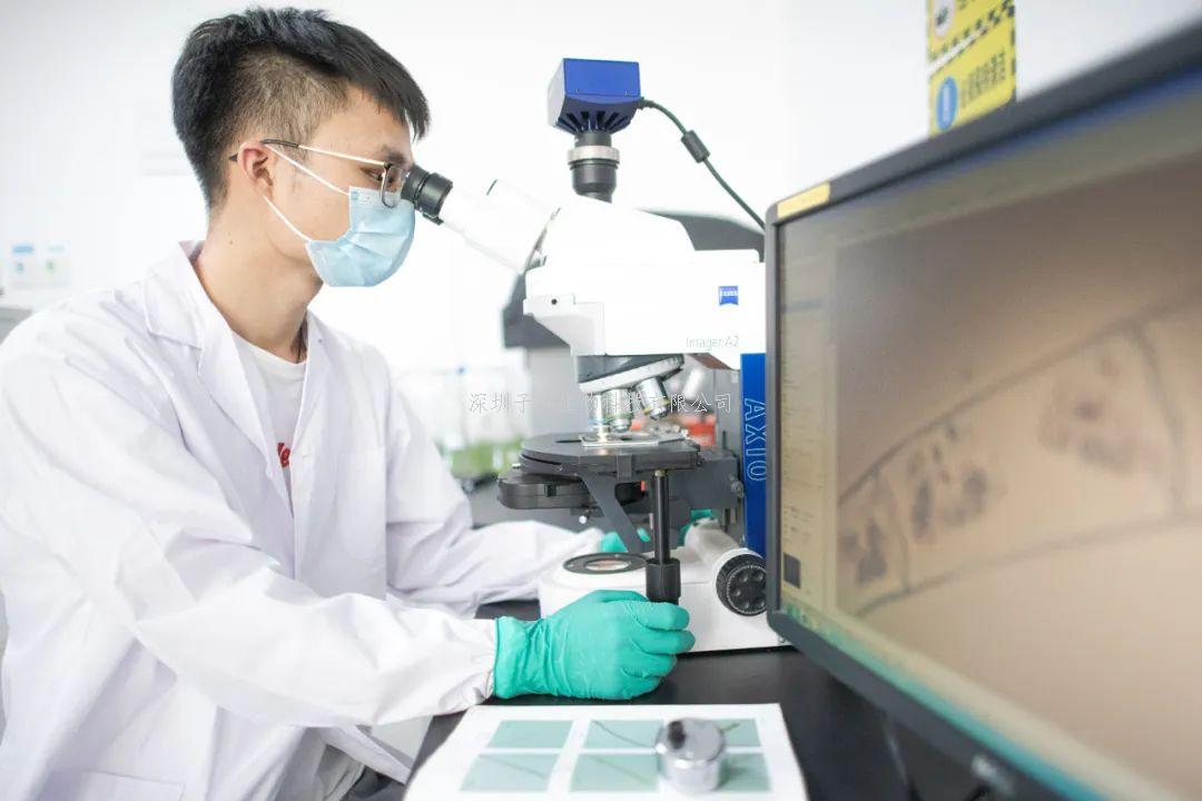 人工智能PERCEPTION：利用腫瘤單細胞分析預測對癌癥治療的反應