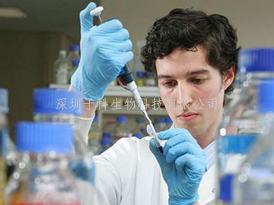 吸入活乳酸桿菌可減輕肺部炎癥，改善肺功能和結構！