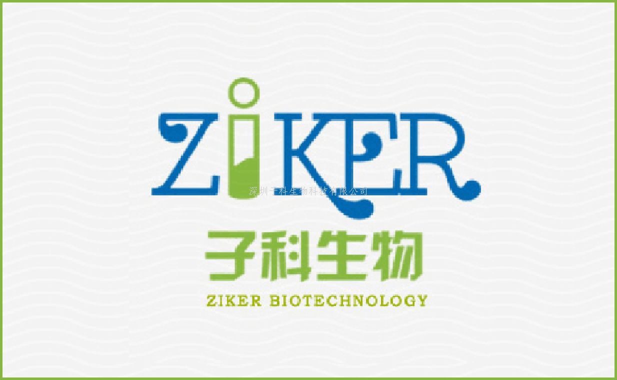Click EdU-488細胞增殖檢測試劑盒