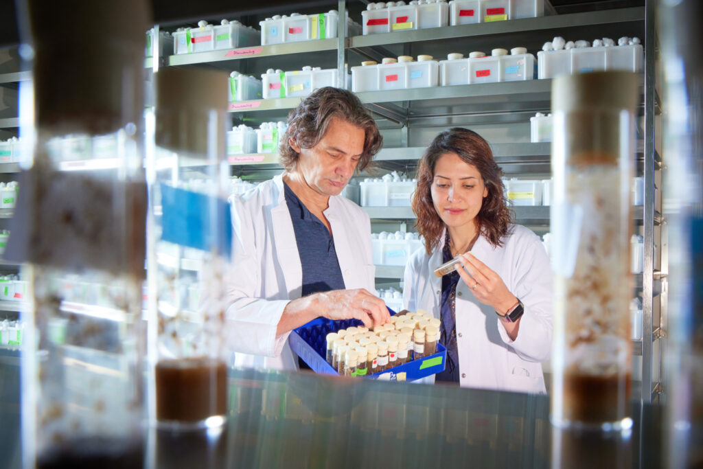 張鋒團(tuán)隊(duì)發(fā)文《Science》介紹一種簡化基因編輯療法的古老的RNA引導(dǎo)系統(tǒng)